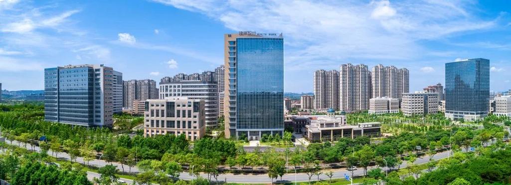武汉软件新城 打造服务外包领军示范园区，引领软件外包服务新浪潮